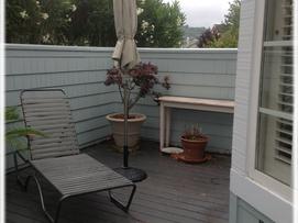 Marin Small Garden Design